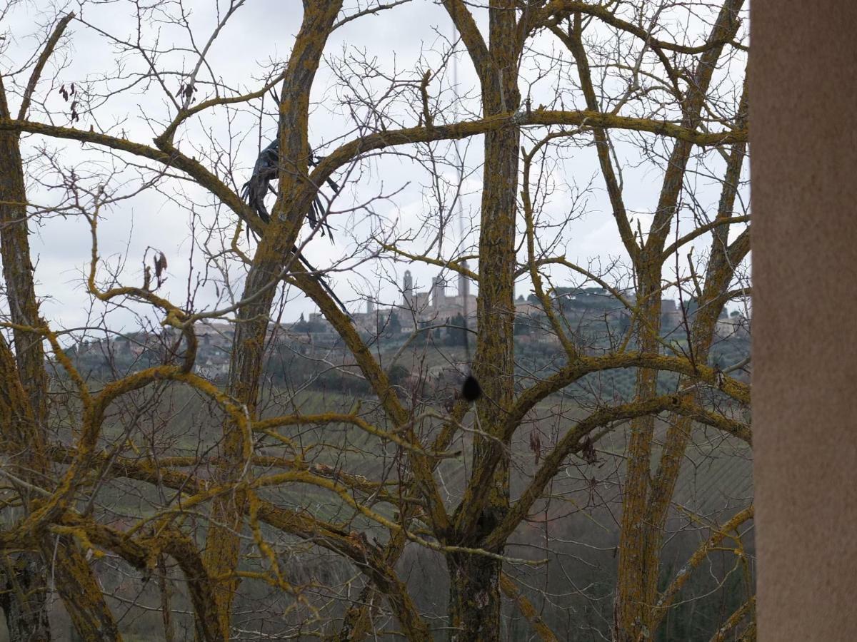 Apartmán Uliveta San Gimignano Exteriér fotografie